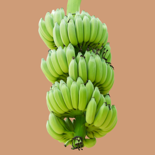 Bananes vertes