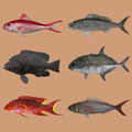 Poissons