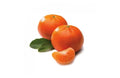 carton Mandarines Nova